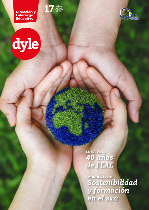 revista dyle número 17